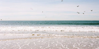 Restoring the Shore with Surfrider