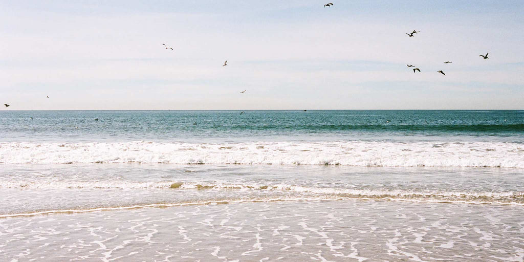 Restoring the Shore with Surfrider