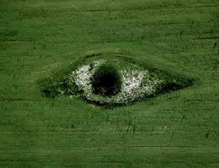 Nature Intelligence 01 Rewilding Sight