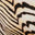 Shell Stripe EcoShimmer