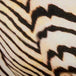 Shell Stripe Linen