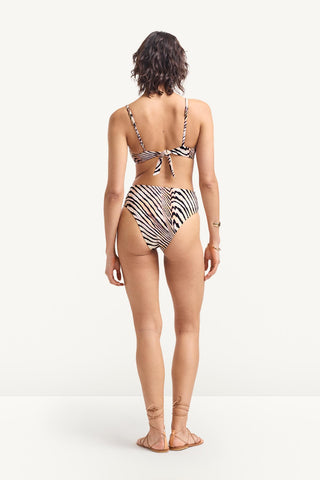 Ada Underwire Top - Shell Stripe EcoShimmer