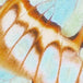 Malachite Butterfly EcoLinen